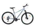 BICICLETAS R29 FIRE BIRD ALUMINIO - 2